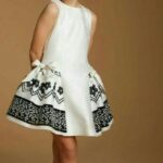 Printed Sleeveless A-line Dress